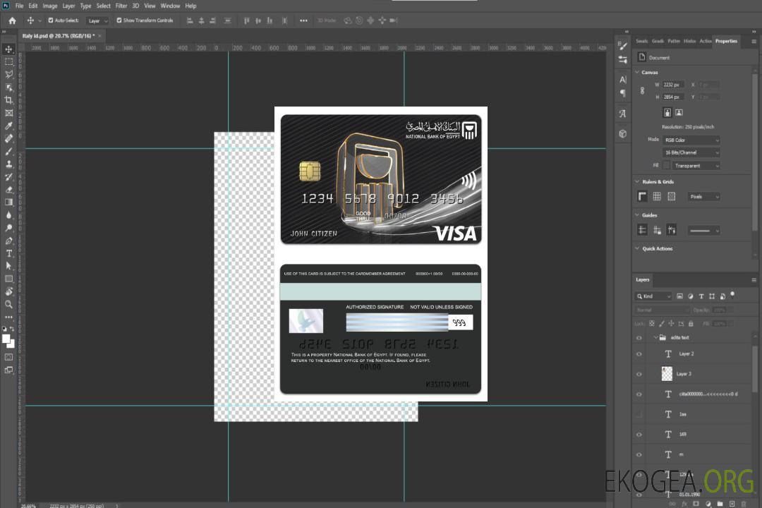 Carte visa platine de la Banque nationale d'Égypte d'Égypte template Carte visa platine de la Banque nationale d'Égypte d'Égypte template